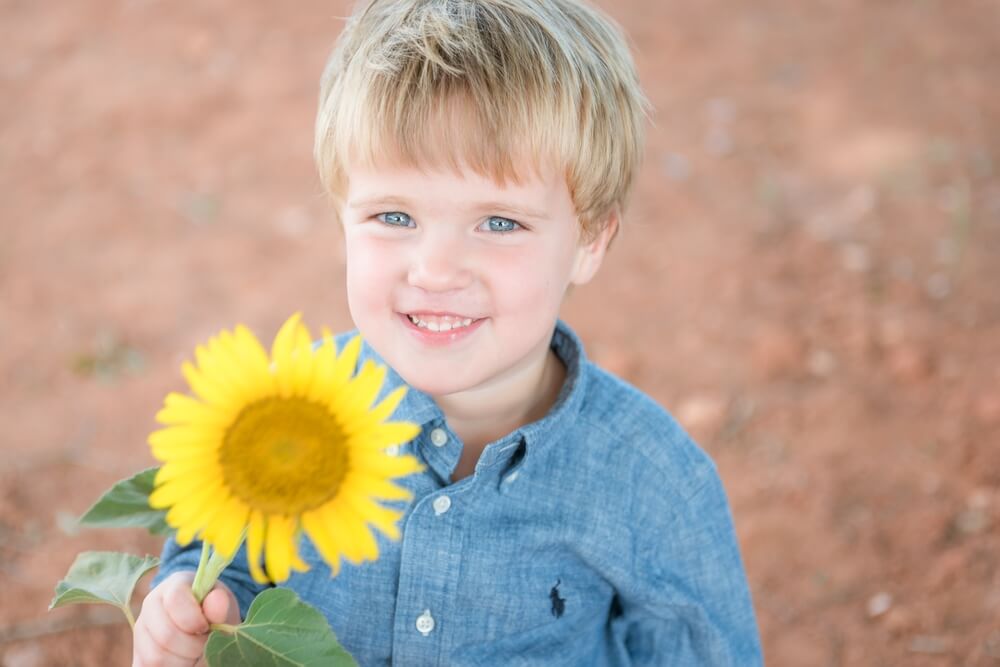 Sunflower Fields Family Session | Lake Wylie Family Photographer