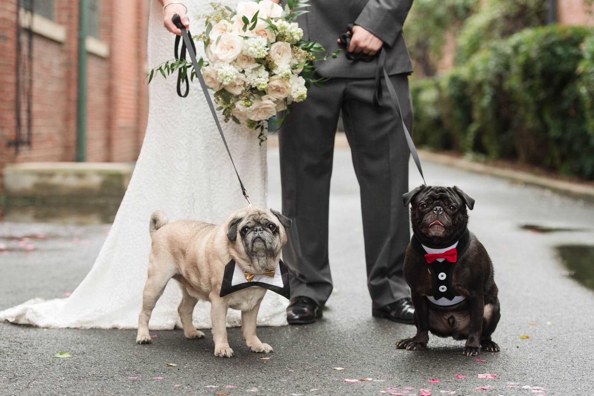 uptown charlotte wedding