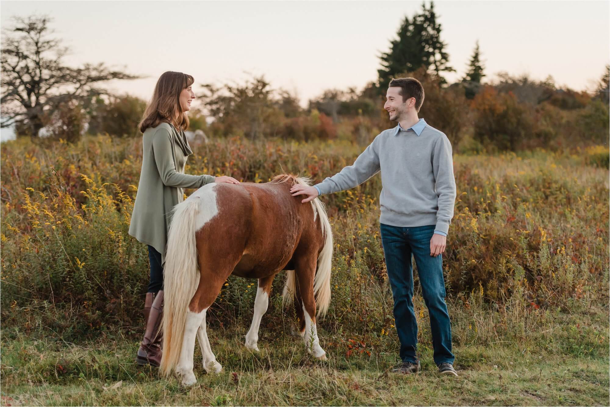 Engaged Couple Petting Ponies at Blue Ridge Mountains