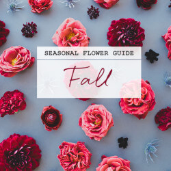 seasonal flower guide