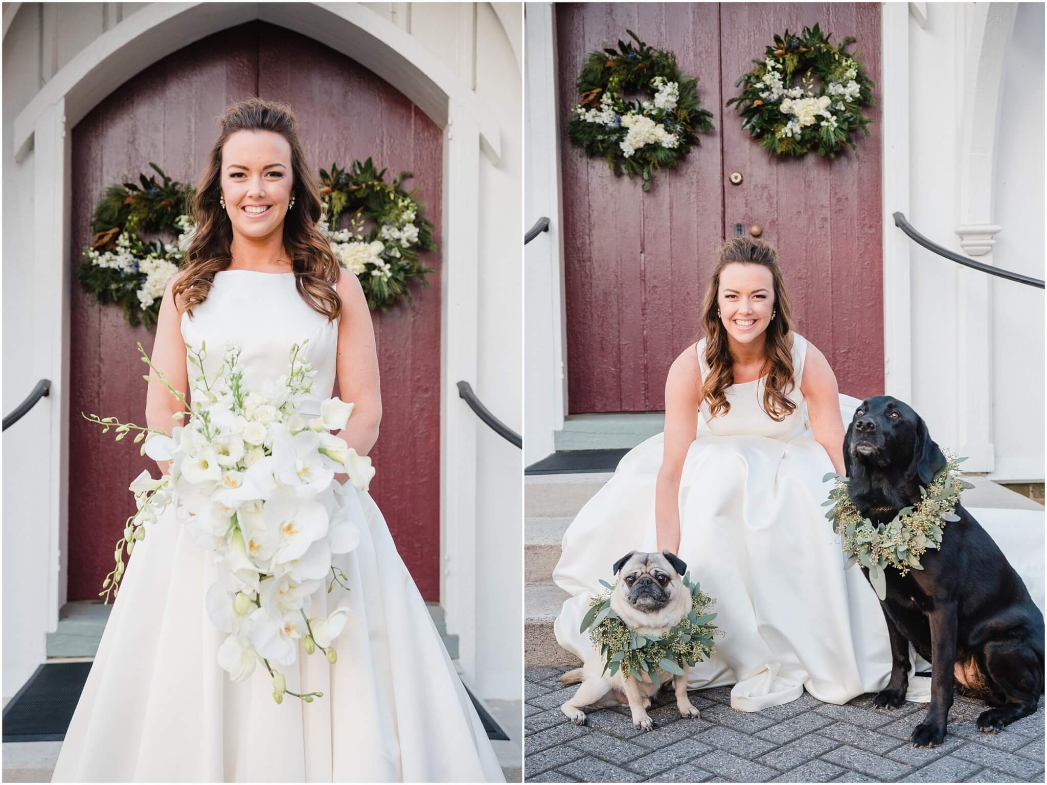 bride with dogs 