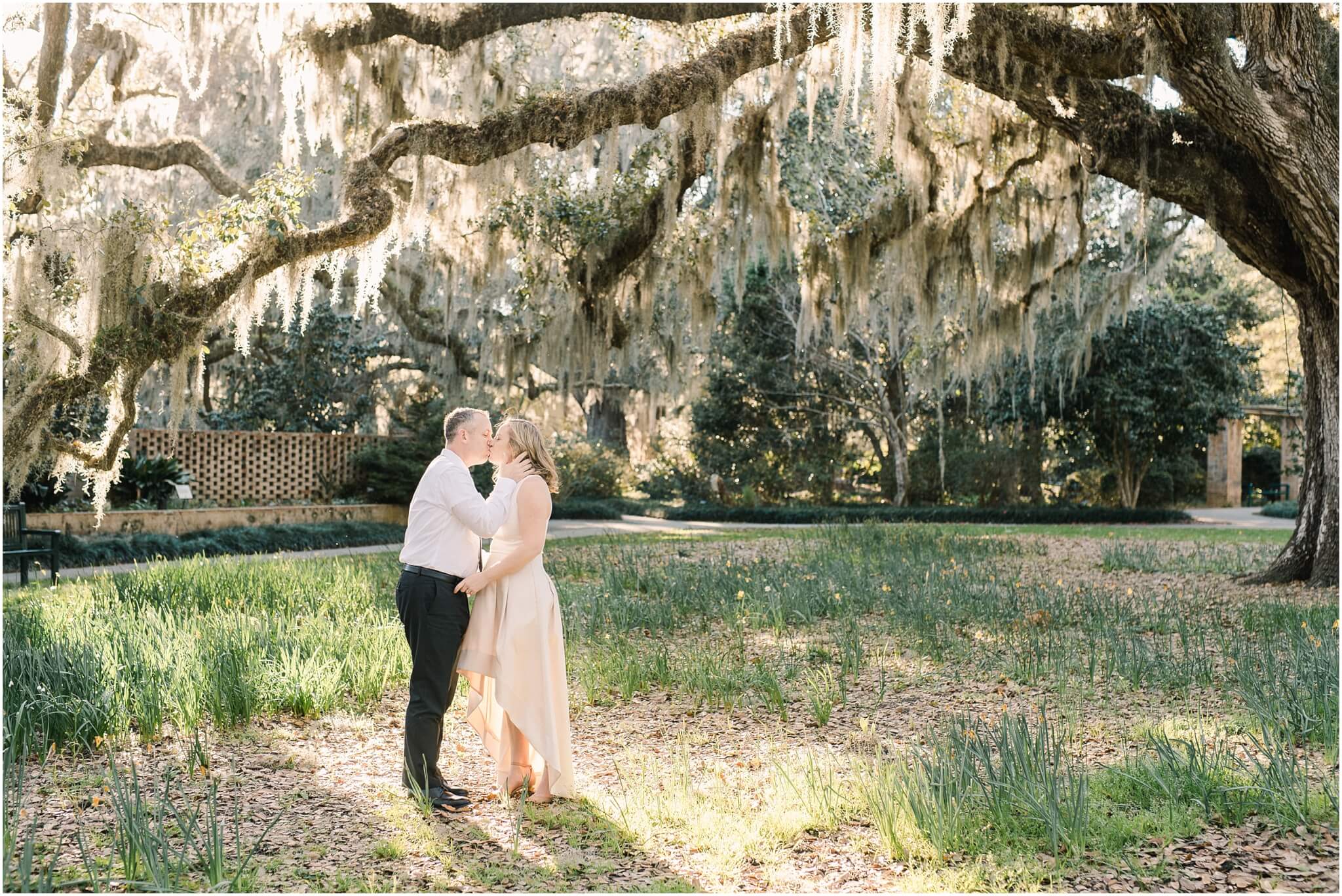 engaged couple kissing under live oak, south carolina wedding photographer