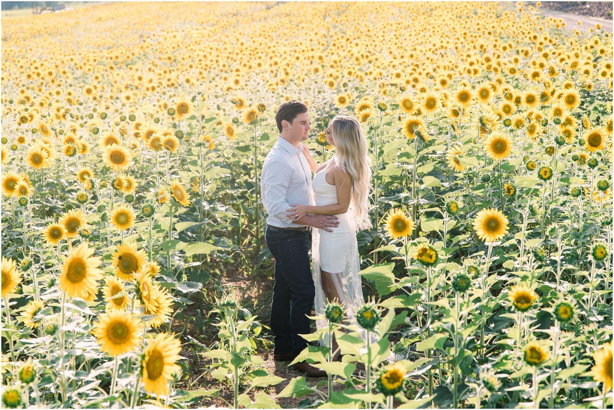 couple in sunflower field, engagement session, destination wedding photographer
