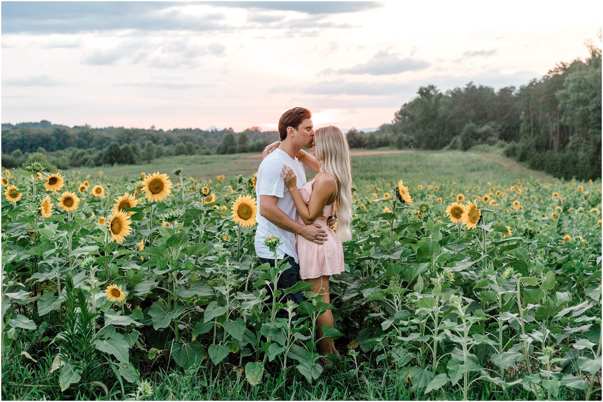 sunflower field engagement session, charlotte wedding photographer