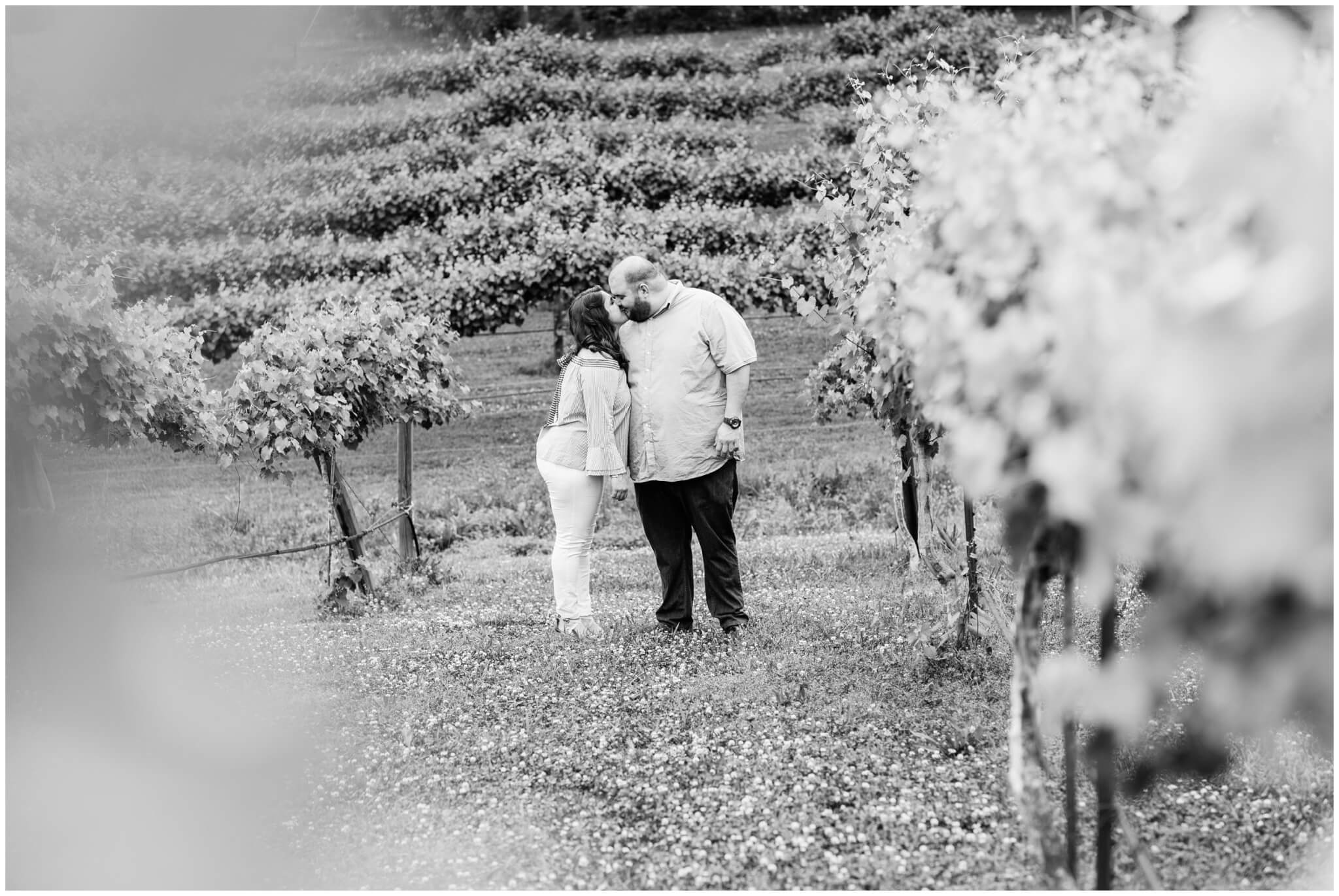 couple kissing in vineyard