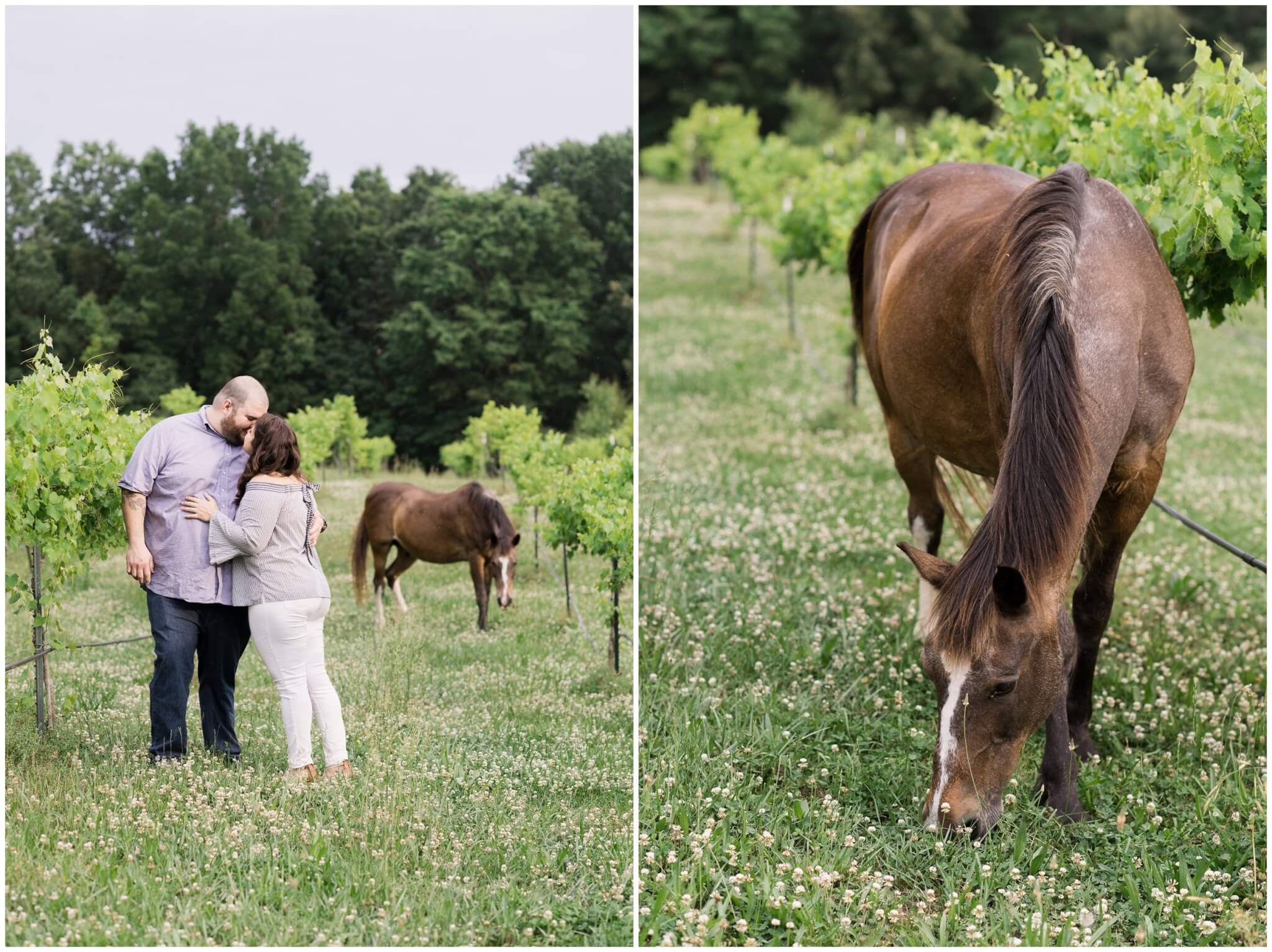 couple kissing in winery while horses roam the pasture