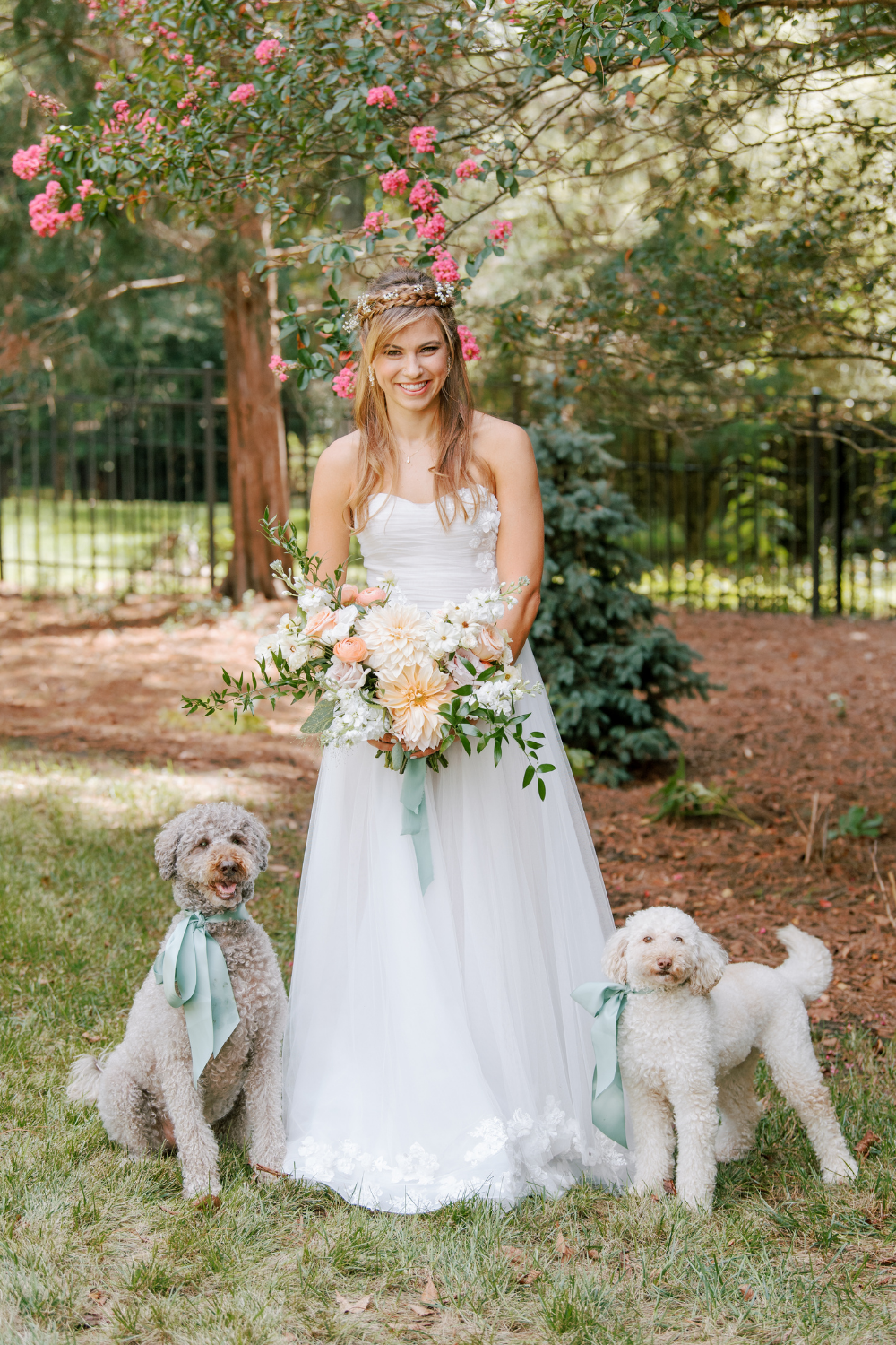 Bride with her dogs at Quail Hollow wedding