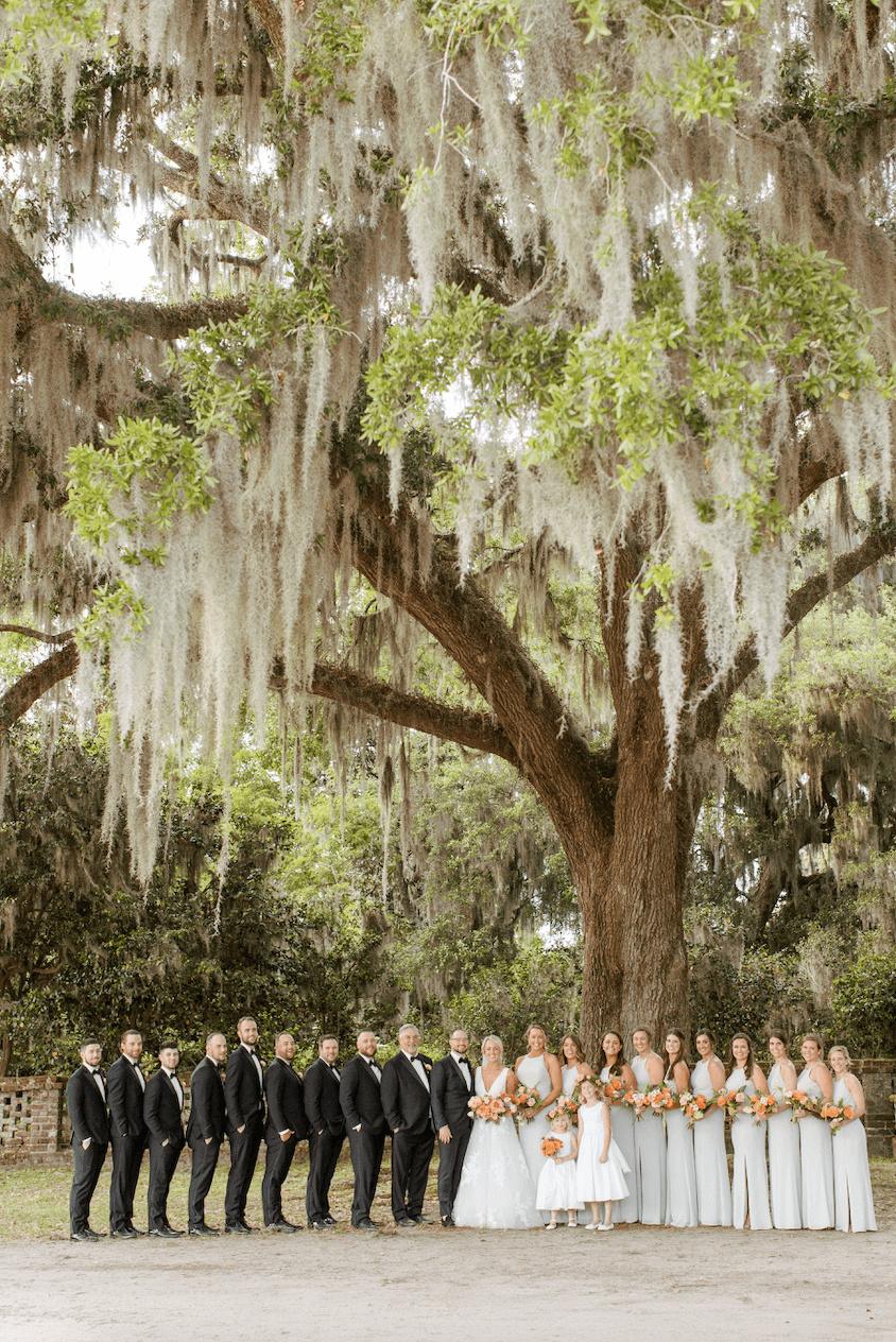 Wedding party posing in front of oak tree at Charleston wedding -